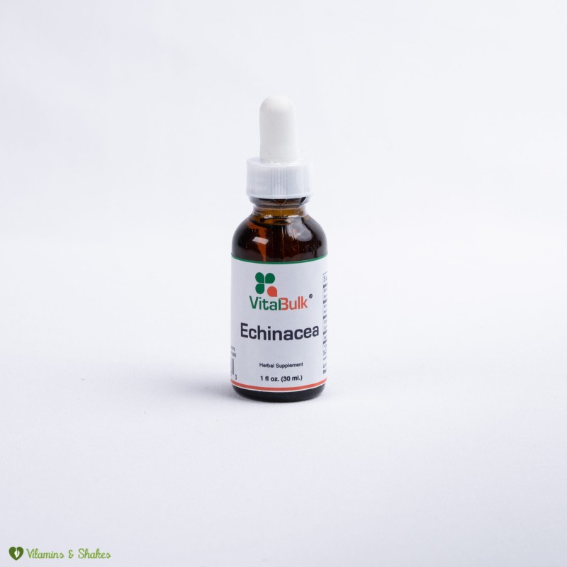 ECHINACEA – 1 Oz. (30 ML)