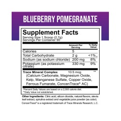 ELECTROLYTE MIX - BLUEBERRY POMEGRANATE FLAVOR – 90 SERVINGS