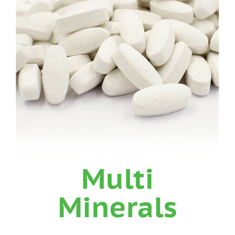 MULTI MINERALS – 250 TABLETS