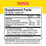 ELECTROLYTE MIX - TROPICAL FLAVOR – 90 SERVINGS